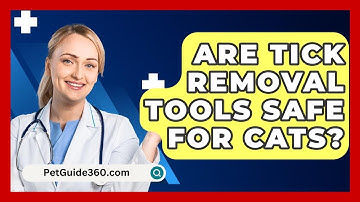Are Tick Removal Tools Safe For Cats? - PetGuide360.com
