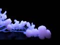 ∿ The Energy That Kept Becoming (10M) Micro Habitat 〔285Hz · 432Hz〕