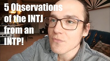 5 Observations of the INTJ from an INTP Perspective