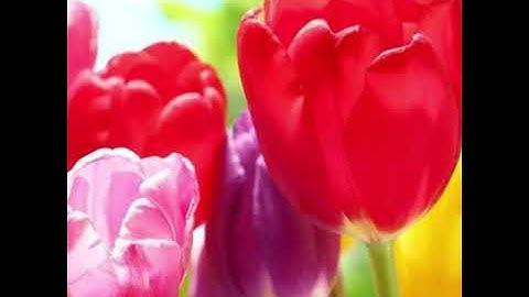 سورة الأنفال _Surah Al Anfaal_ بصوت رائع للقارئ عبدالله البعيجان