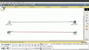 PT - Trunk Encapsulation