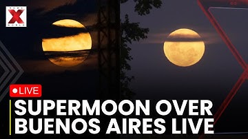 Final Supermoon Of 2025 LIVE: Last Supermoon of the Year Stuns Skywatchers | Supermoon LIVE