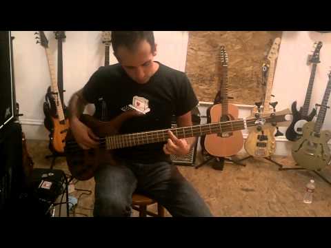 Need To Know Basses Tobias Killer B Demo