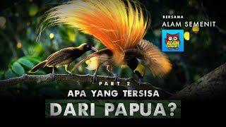 Download Lagu Rumahnya Burung-burung Dari Surga ft. @AlamSemenit  | Papua - Part 2 MP3