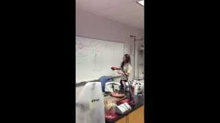Bio 211 Lab Test 4