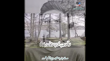 ثواني قرآن كريم بصوت الشيخ ماهر المعيقلي سورة النبأ إن للمتقين مفازا حدائق وأعنابا حالات واتساب قرآن 