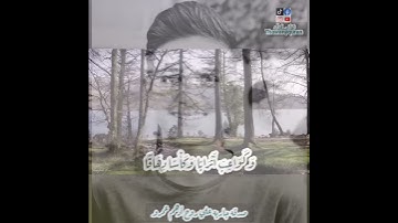 ثواني قرآن كريم بصوت الشيخ ماهر المعيقلي سورة النبأ(إن للمتقين مفازا حدائق وأعنابا)حالات واتساب قرآن