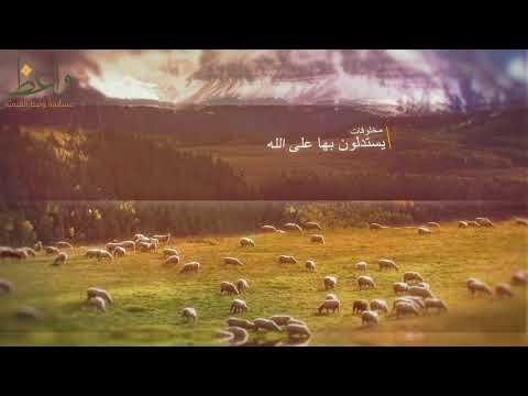 الشيخ سعيد الكملي انظر لتلك الشجرة