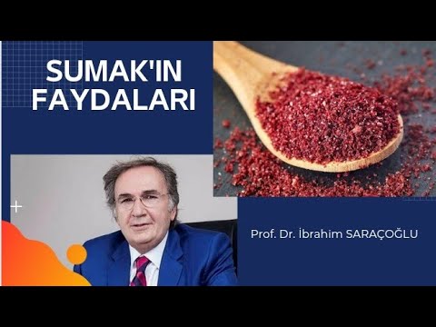 SUMAĞIN FAYDALARI / Sumak Nasıl Kullanılır