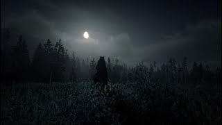 Red Dead Redemption 2_20231202234247