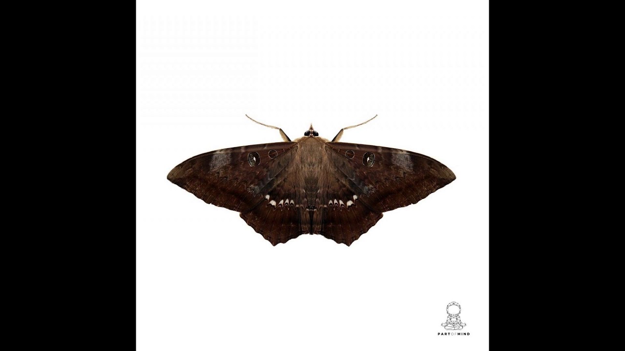 Monoteck - Detox (Original Mix)