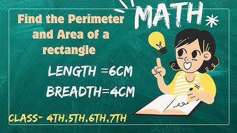 Find the Perimeter and Area of rectangle whose length 6cm and breadth 4cm | 
