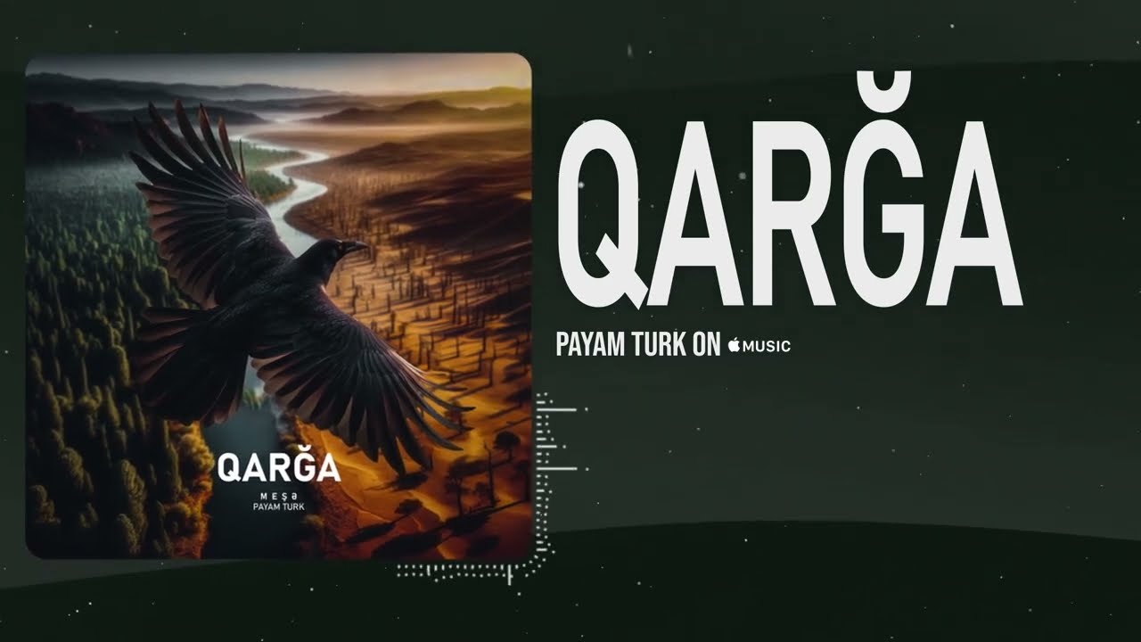 Payam Turk - QARĞA  (Official Audio) "From Meşə Album"