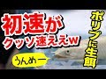 【アクアリウム】 水槽で熱帯魚を飼う #50 ポリプに生餌与えます 2017.7.6