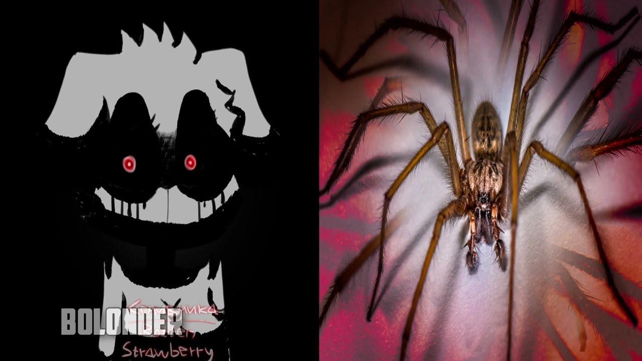 Talking Bella Becoming Uncanny (Arachnophobia)