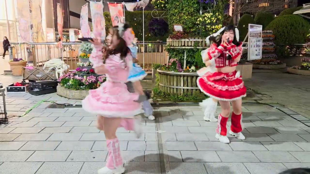 2026/3/4 水曜夜の魔法ライブ③　ハイセン（しゃるぷり）