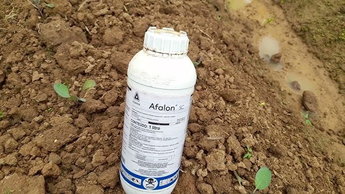 Afalon5 Sc