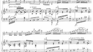 Dvorak, Antonin (Kreisler) Slavonic Dance op.72 no.2