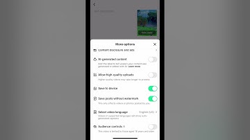 How fix the TikTok watermark issue if it’s not showing in your video