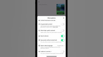 How fix the TikTok watermark issue if it’s not showing in your video