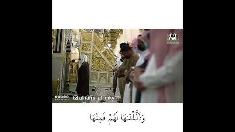 تلاوه حجازيه خاشعه للشيخ احمد الحذيفي