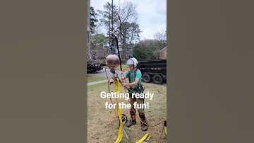 Crane day! #arborist #tree #southcarolina #columbiasc #crane #climbing