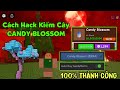 Cách hack kiếm cây CANDY BLOSSOM trong grow a gaden trăng máu 100% thành công đơn giản
