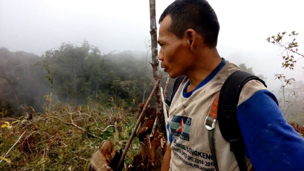 PLT Panas Bumi Mengancam Ekosistem Hutan Lindung di  Gunung  