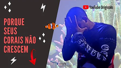 Como fazer os corais crescerem mais rápido?