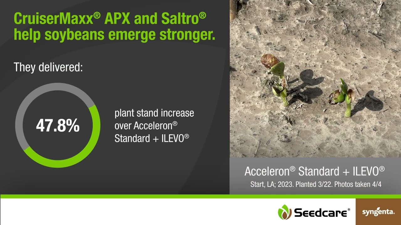 Help Your Soybeans Emerge Stronger