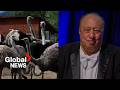 "Let truth prevail": US billionaire John Catsimatidis calls for investigation after BC ostrich cull