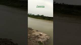 newshort #video #editing #nature #goalpara #assam #uditnarayansongs