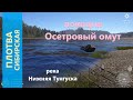 Русская рыбалка 4 - река Нижняя Тунгуска - Плотва между камней