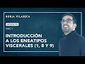 Introducción a los eneatipos viscerales 1, 8 y 9 | Borja Vilaseca