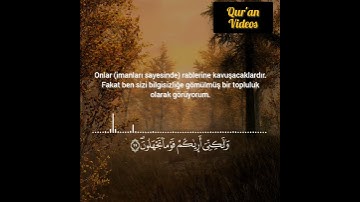 Hud Suresi 29 | سورة هود ٢٩ | Surah Hud 29 # Kur'an#Quran #قران