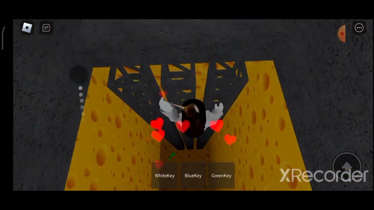 Роблокс крыса карта