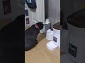 テスト