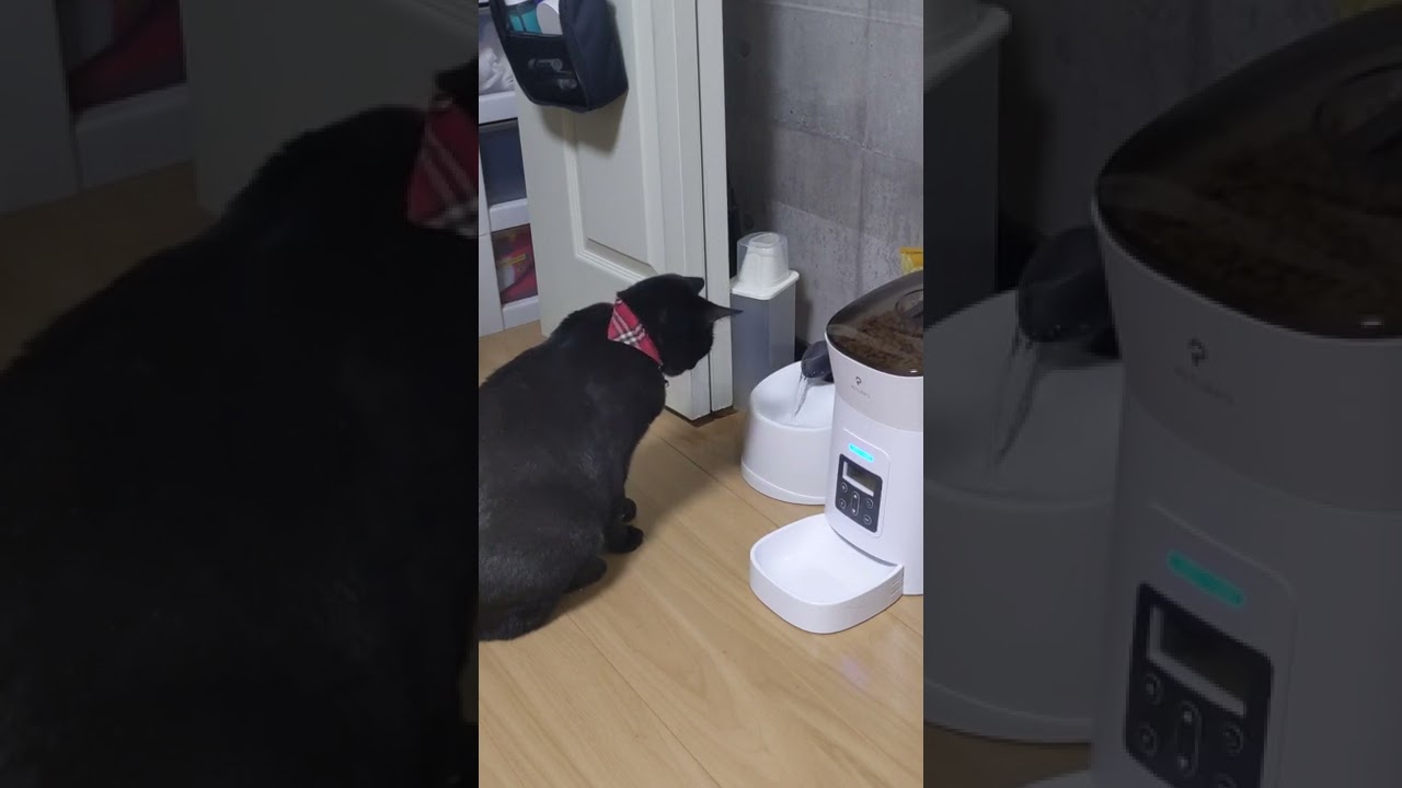 テスト