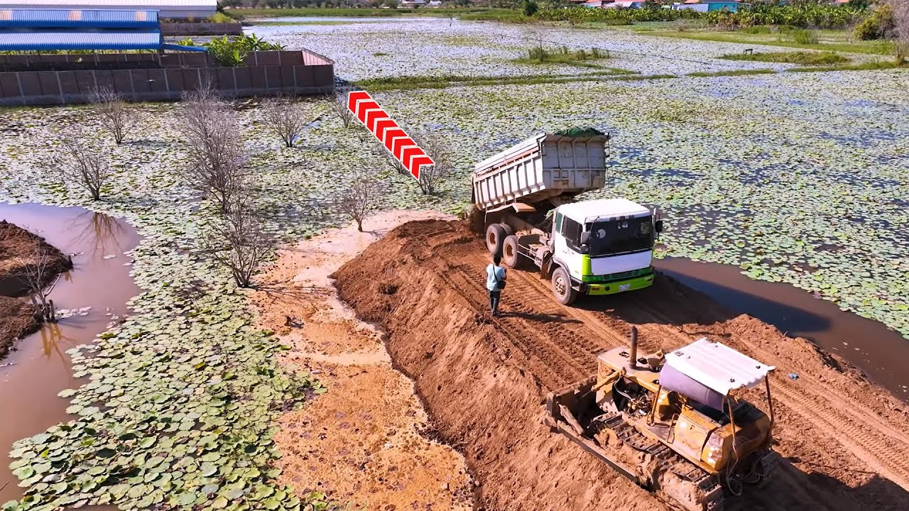 Second Step For Komatsu D45p Dozer Push Soil Clearing the Lake With Dump Trucks Moving For..