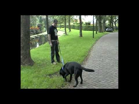 Antionette & Jan bezoek blaricum