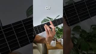 learn guitar chords (G# chord) 🎸🎶 #guitar #guitartutorial