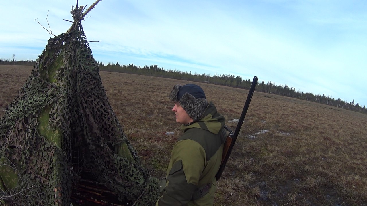 охота 15 год