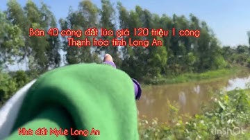 Cần bán nhanh DT 40 công đất lúa giá 120 triệu 1 công thuộc huyện Thạnh hóa tỉnh Long An