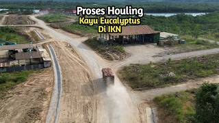Seeing The Houling And Unloading-Loading Process Of Eucalyptus Logs At IKN