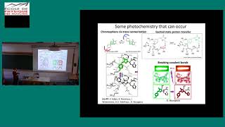 Complex Photophysics of Fluorescent Proteins