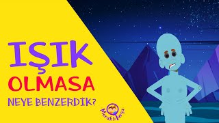 Işık nedir? | Meraklı Turşu STEM Serisi