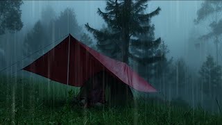 Camping in the rain, fog. Make a campfire & burn corn•ASMR•