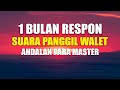 Suara Panggil Walet Terbaik Andalan Para Master Mp3 - Mp4 Download