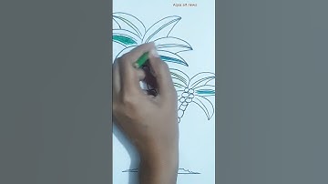 Palm Tree Drawing | How to draw a Palm tree for beginners | Art Video