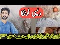 Best Treatment For Horses Skin گھوڑوں کی الرجی کا دیسی ٹوٹکا Best Treatment For Horses Skin گھوڑوں کی الرجی کا دیسی ٹوٹکا